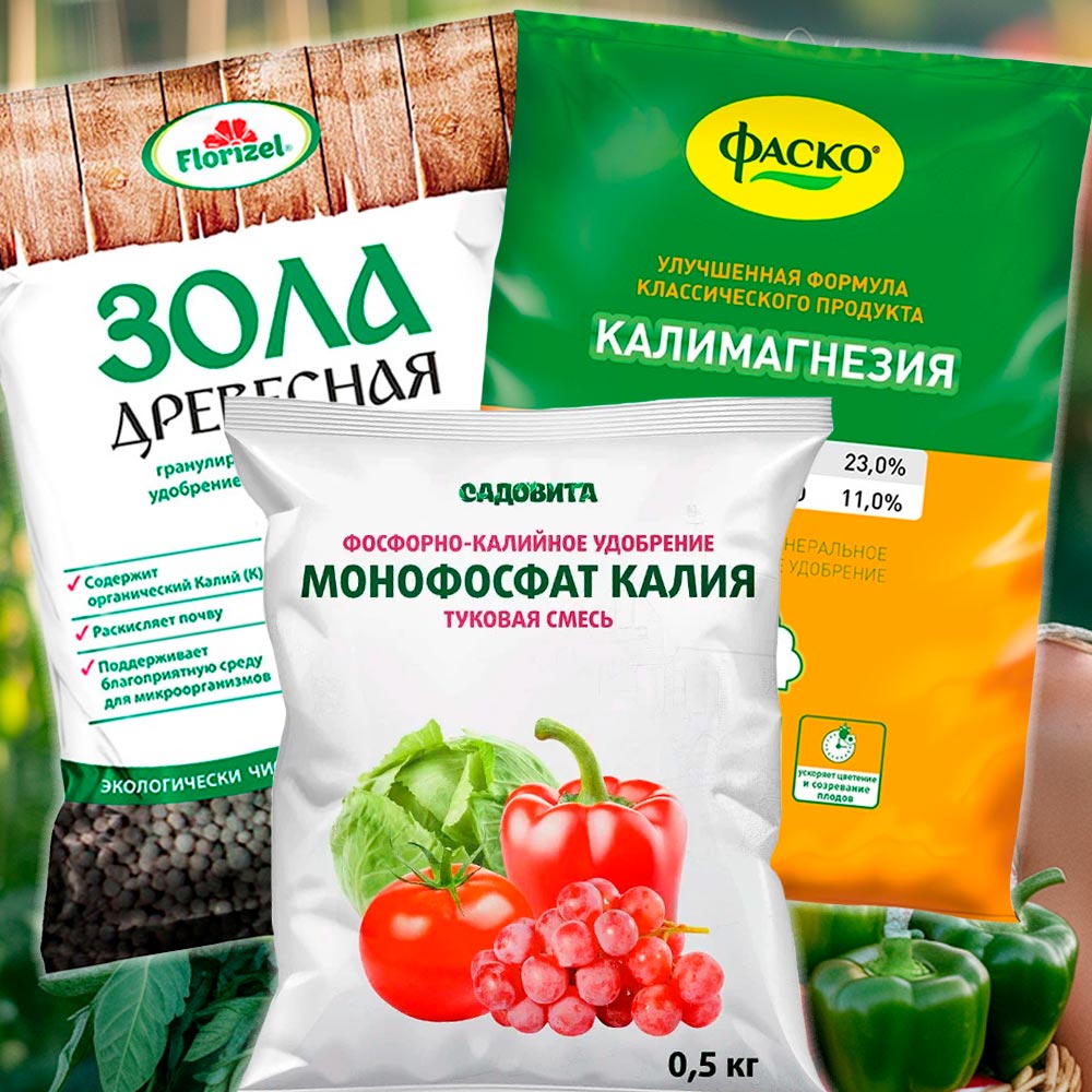 Осенние удобрения для томатов и перцев